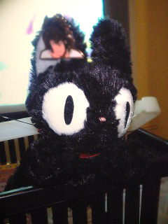 �k����Ɏ��Ă�W�W��